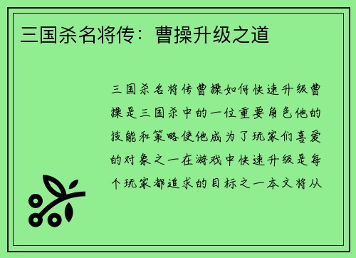 三国杀名将传：曹操升级之道