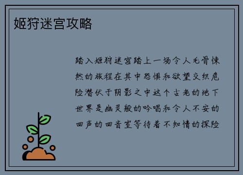 姬狩迷宫攻略